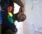 BOSSING LIKE RICK ROSS