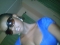 jst chilinnnnnnnnn