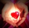 MY LAST LETTER TO MY LAST LOVE