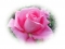 Just Love