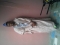am just a nice guy