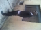 Am so fly