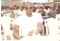 my pic
