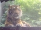 at the zoo?kinda scary