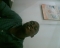 chillin