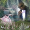 my pix 4 u
