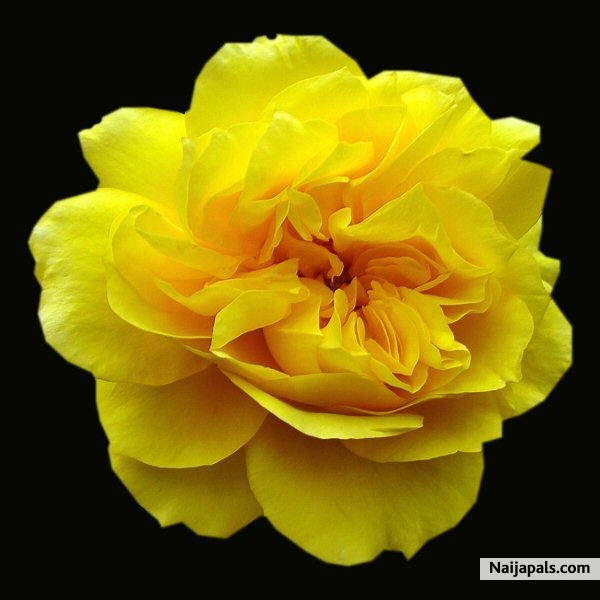 i all love u..what of u? - click for next photo