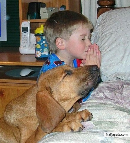 Pls let all pray for naija - click for next photo