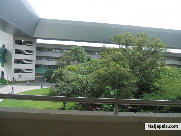 My school - click for next photo