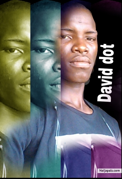 David dot - click for next photo