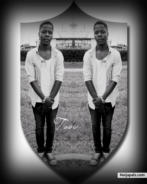 Kingycmb - click for next photo