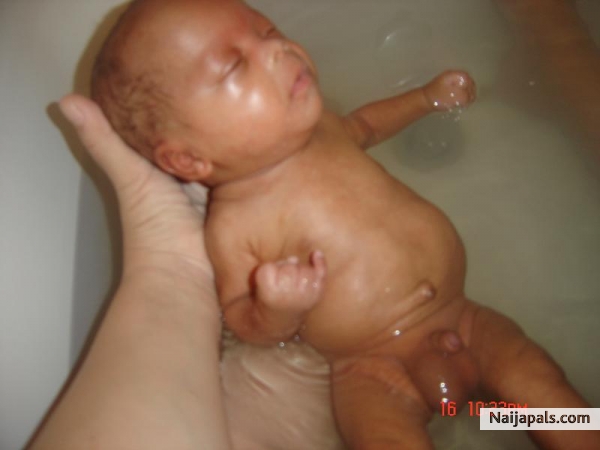  - click for next photo