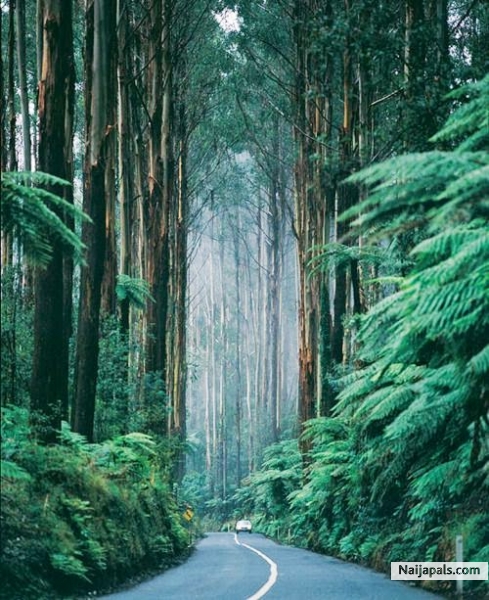 amazing - click for next photo