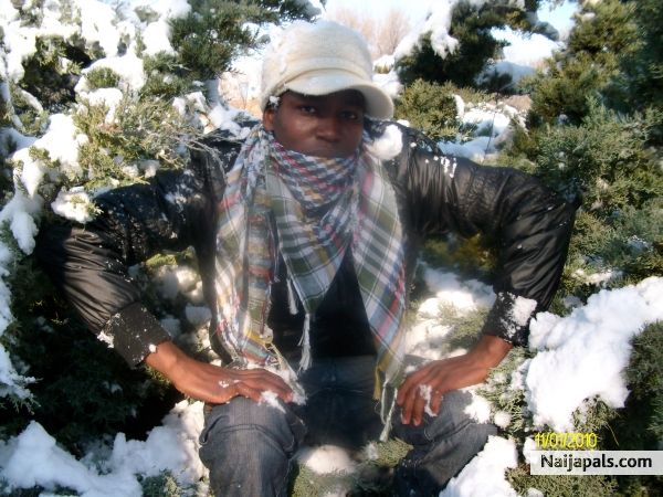 snowday - click for next photo
