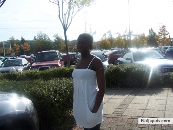 @ d shop - click for next photo