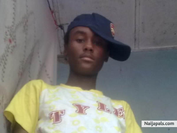 danfodio - click for next photo