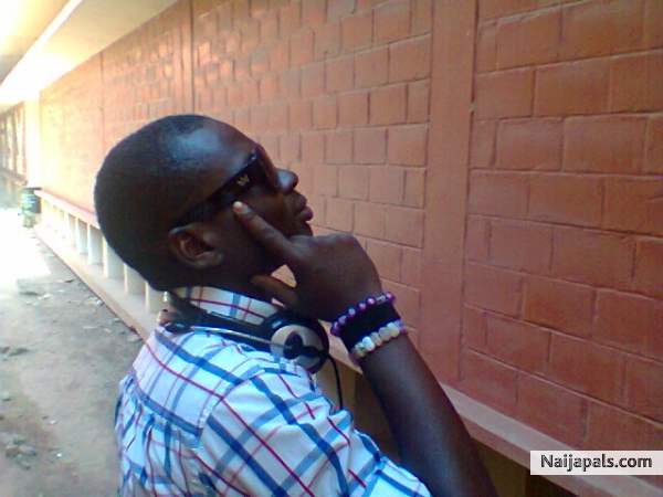 o boi - click for next photo
