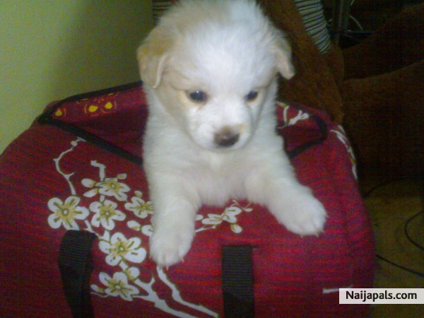 My lil furry family - click for next photo