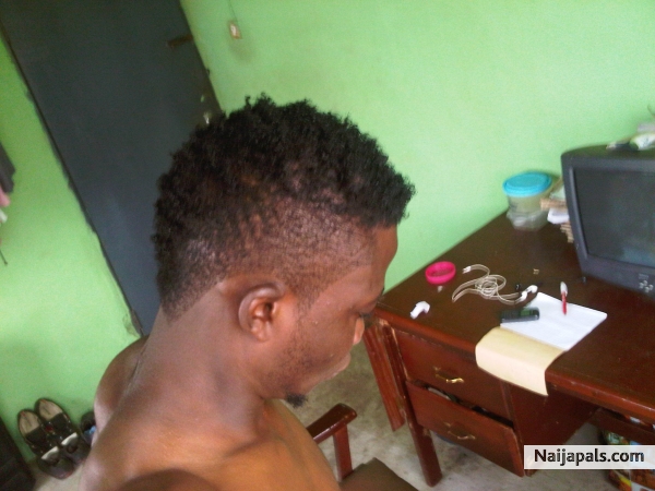 fynboya - click for next photo