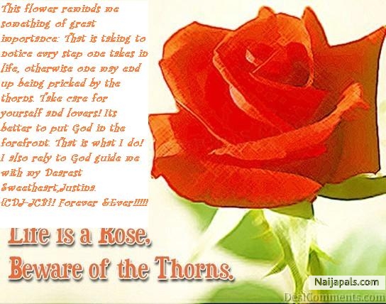 He Who Says Yes Knows More!! - click for next photo