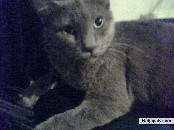 MY MISS SMOKIE - click for next photo
