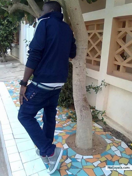  - click for next photo