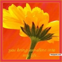 A love gift to my pals - click for next photo