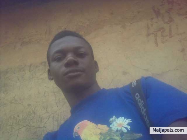 Dozie - click for next photo