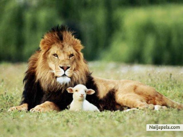 Unbelievable - click for next photo