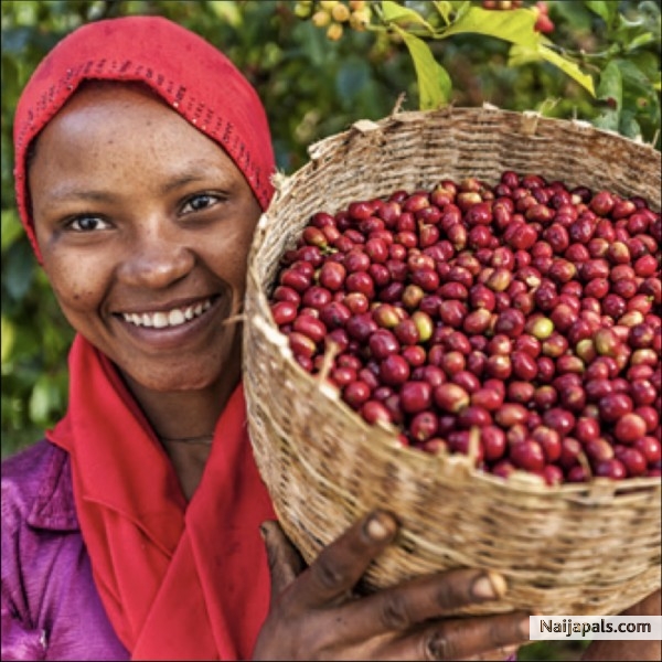 a fairtrade woman. - click for next photo