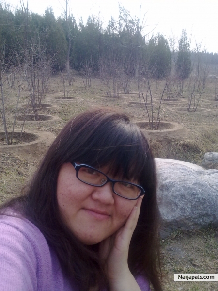Olympic Forest Park in Beijing - click for next photo