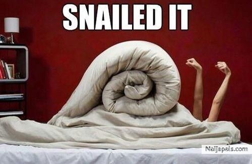 snail it - click for next photo
