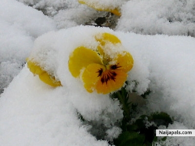 a nice photo - click for next photo