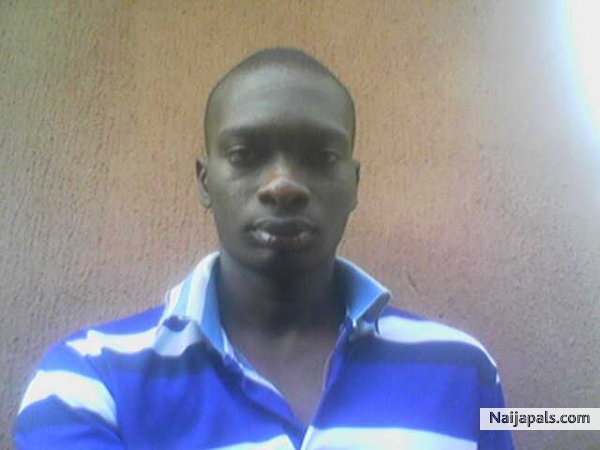 nnaa - click for next photo