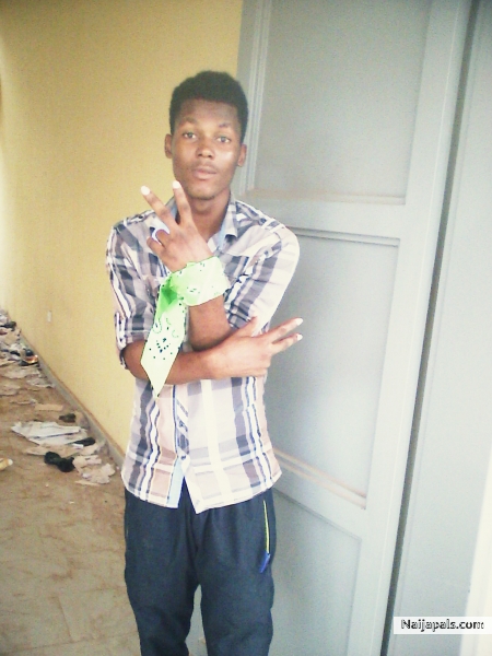 #Dragmoni - click for next photo