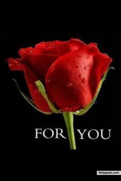 i m lovely guyes - click for next photo