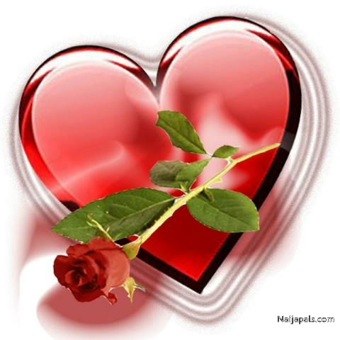 love has no bound - click for next photo