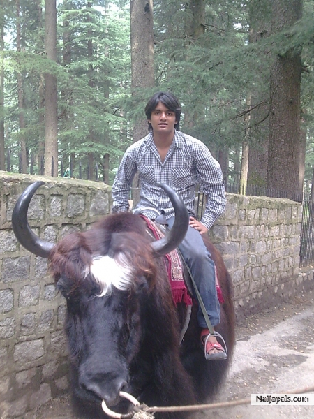  - click for next photo