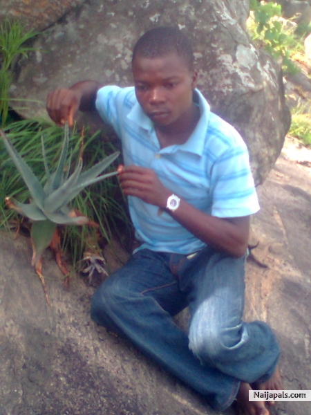  - click for next photo