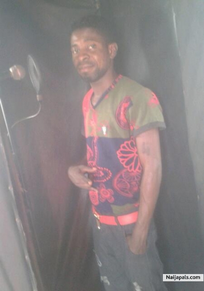camera Dexx - click for next photo