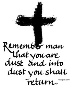 mrdust