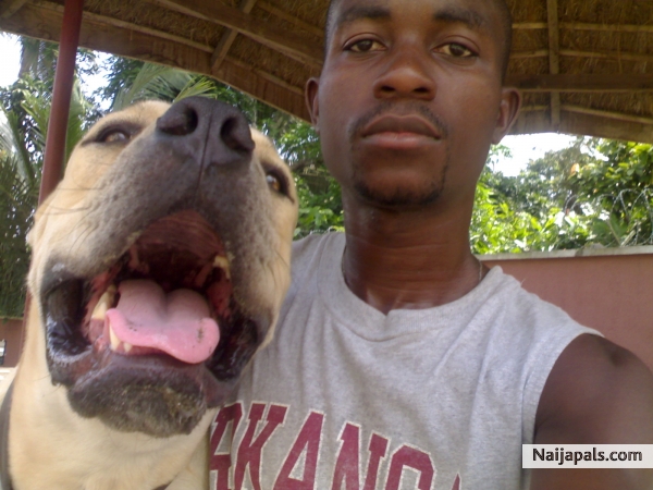 man' s best friend... - click for next photo