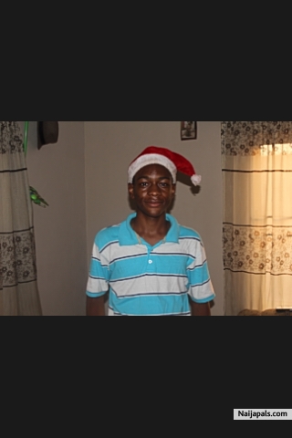 xmas - click for next photo
