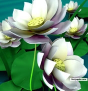hey guys - click for next photo