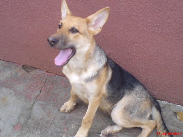  - click for next photo