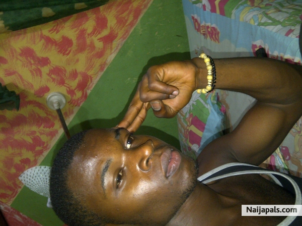 happness is my joy - click for next photo
