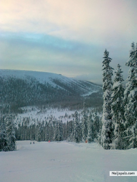 The Swedish winter and snow. - click for next photo