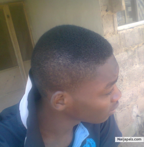 no lele - click for next photo