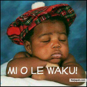 Mi O Le Wa Ku - click for next photo