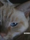 cute! - click for next photo